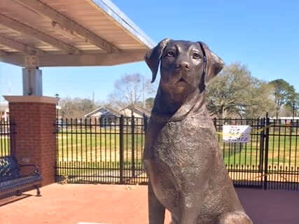 Dog Park at Crawford - Murphy Park photo 1